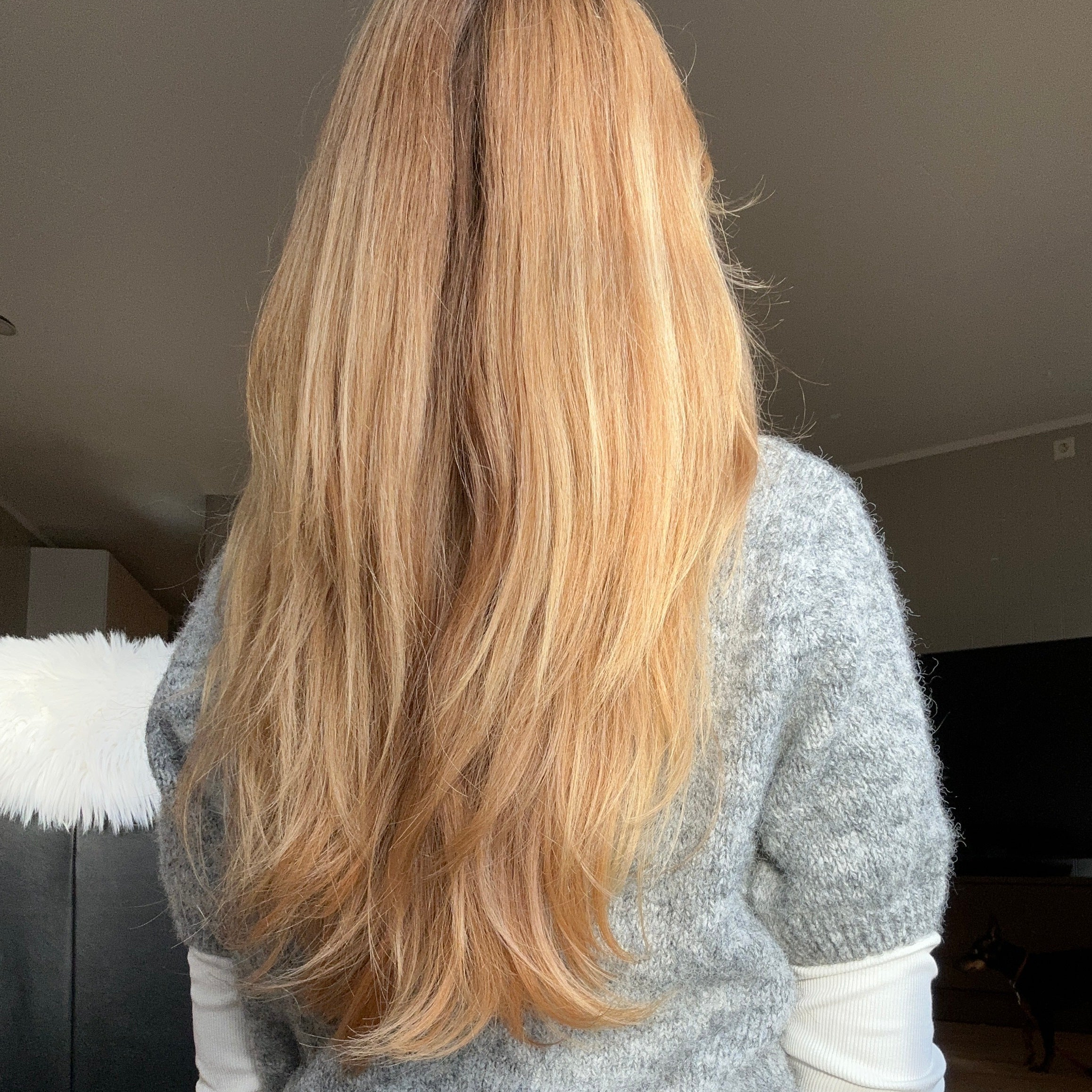 Norela Daily Care Trio